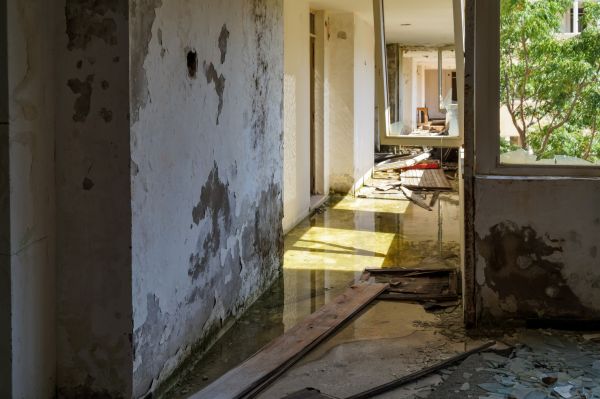 Cost of Water Removal Service in Woodbridge
