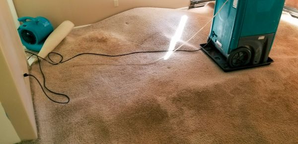 Carpet Water Extraction in Woodbridge