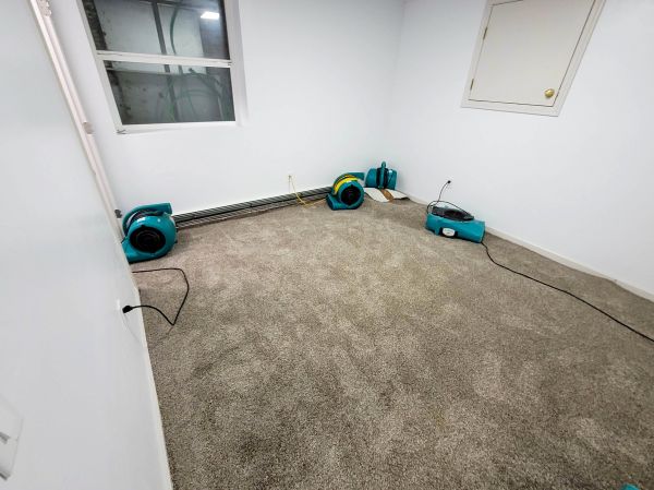 Flood Restoration Service in Woodbridge