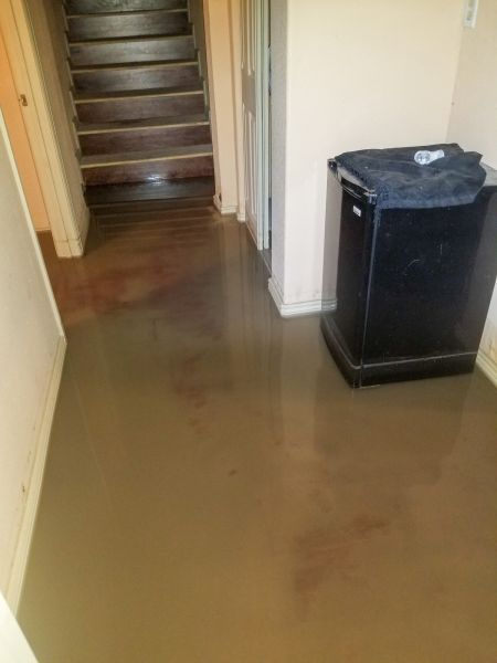 Emergency Water Removal in Woodbridge